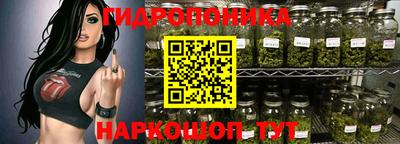 шишки Донецк