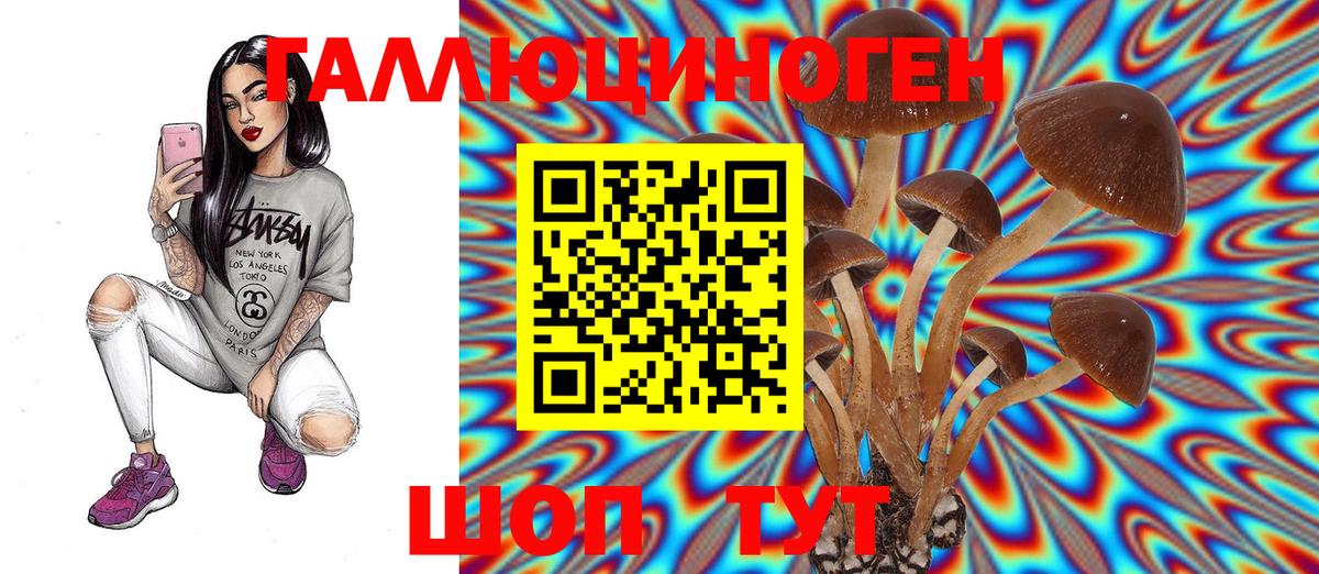 закладки  Вход с VPN  Псилоцибиновые грибы мицелий  Мурино  Галлюциногенные грибы ЛСД 